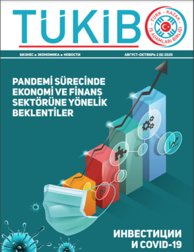 2020 - 6.Sayı