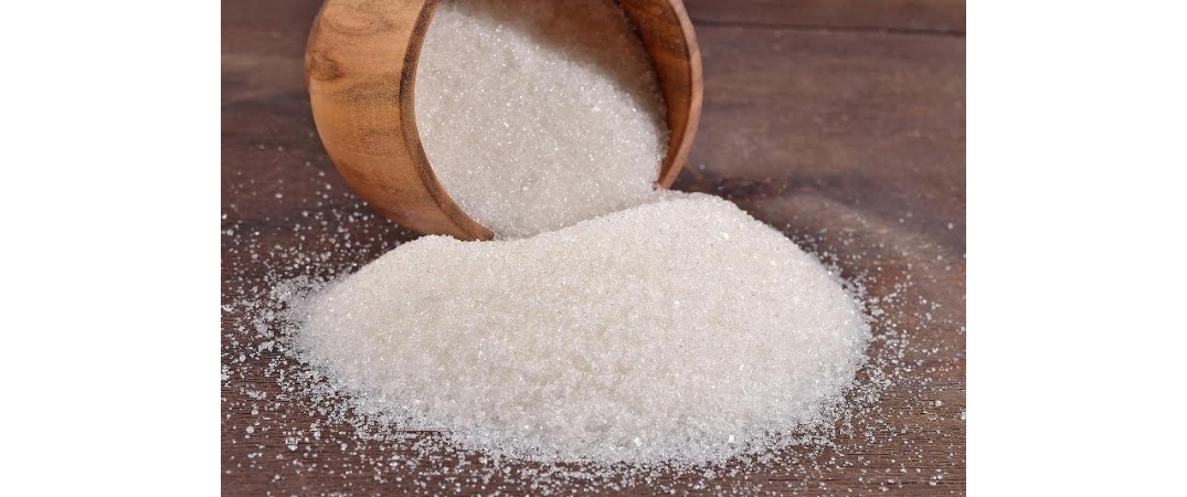 Safi Holding Kazakistan’da şeker fabrikasını kurmak istiyor