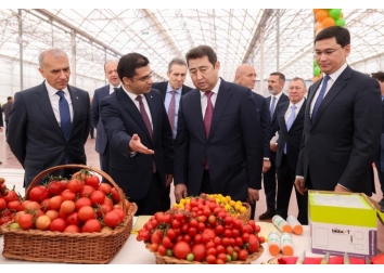 Çimkent’te Alsim Alarko’nun Sera Tesisleri İşletmeye Açıldı