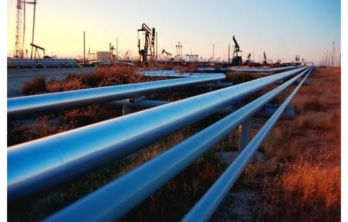 Türkiye’ye 1,9 milyon ton petrol ihraç edildi